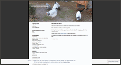 Desktop Screenshot of canberrabackyardpoultry.com
